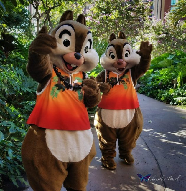 Characters Chip and Dale